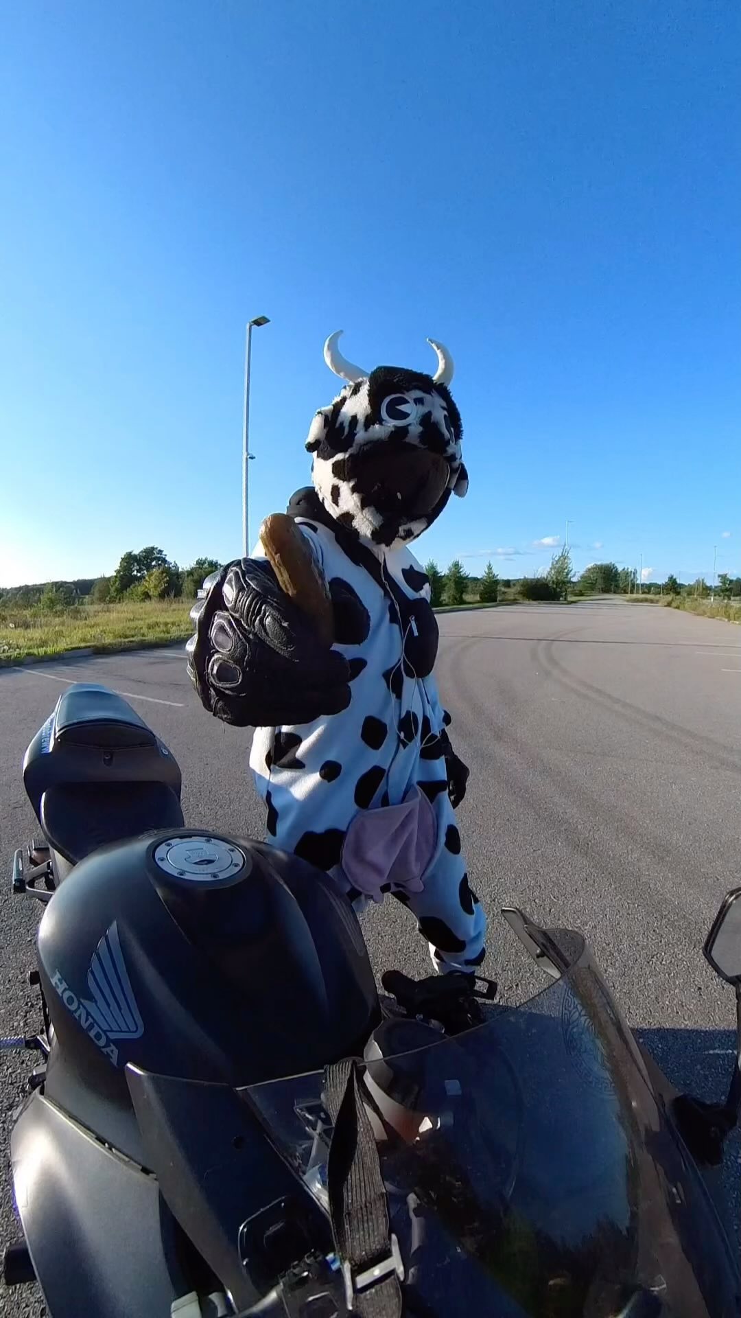 cow print motorcycle helmet Cover - These are all one size that fits snugly over most motorcycle helmets. Custom Cowprint Softball Helmets: Practice