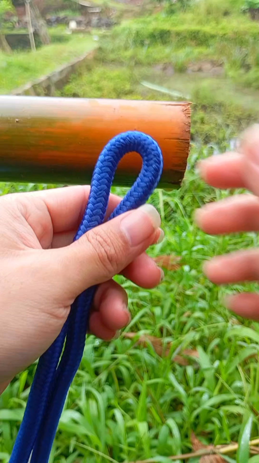 Easy and simple but useful #tutorials #knot #rope #DIY #hiking #camping ...
