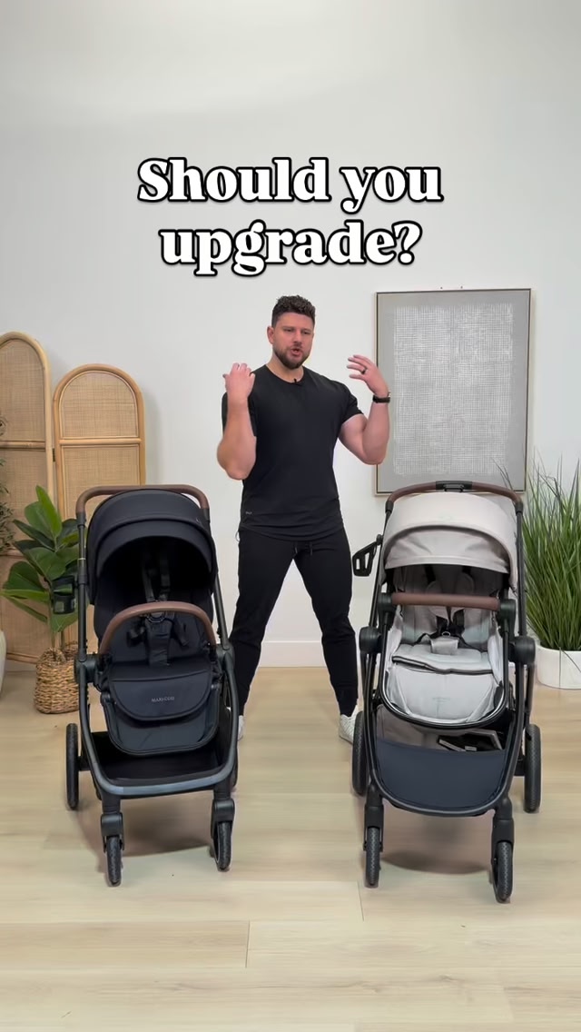 stokke tripp trapp for adults High Chair² with Newborn Set from the teen years Color:Chestnut Stain daiwa eliminator saltwater spinning DEPARTMENT:ACCESSORIES