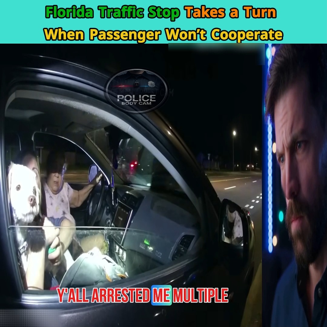 Police Bodycam Captures Florida Traffic Stop Gone Wrong #PoliceBodyCam ...