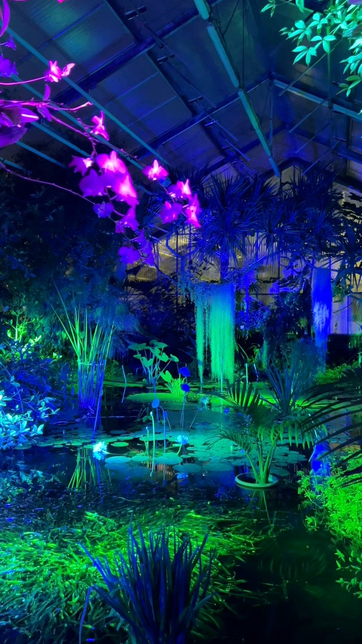 ✨ So habt ihr den Botanischen Garten in Jena noch nie gesehen: ✨, Während des Lichtergartens verwandeln sich die Gewächshäuser des Botanischen Gartens in ein magisches Lichterspiel – ein echtes