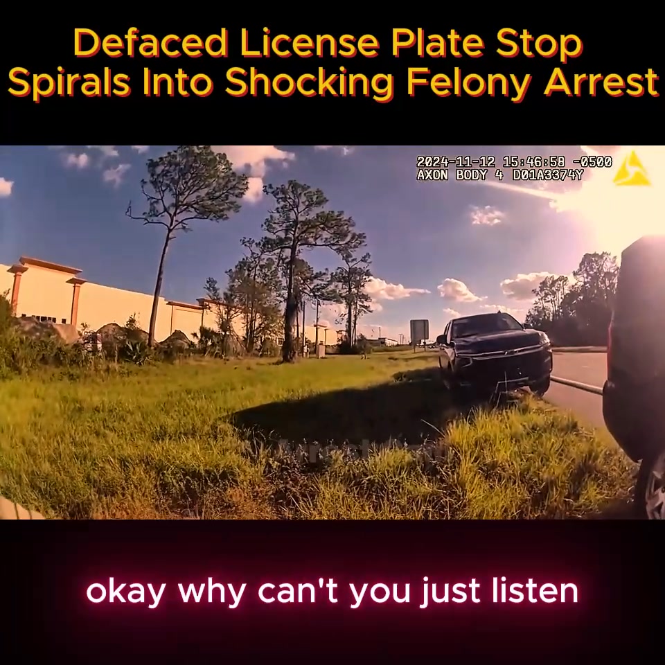 Defaced License Plate Stop Spirals Into Shocking Felony Arrest | Anddy ...
