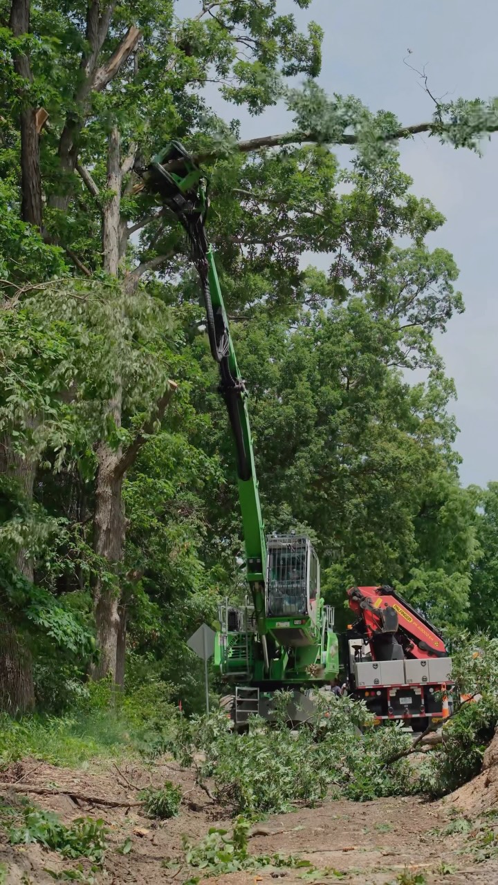 Grapple saw operators know not every cut needs to be clamped down as ...
