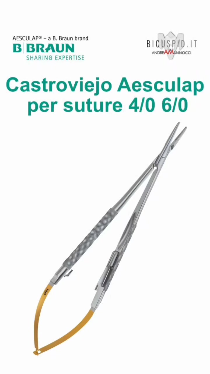 Porta Aghi T/C RYDER 6 Con Inserti In Carburo Di Tungsteno, Per Laboratorio Odontotecnico - Foto 2
