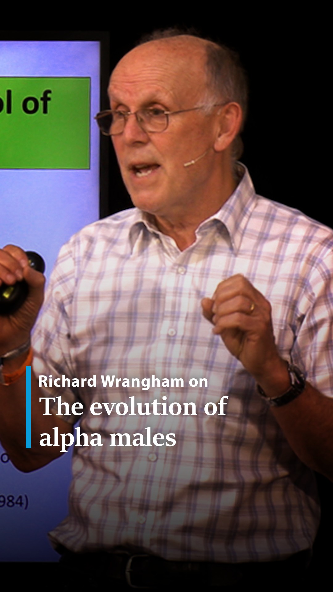 Alpha males dominate the hierarchies of many primate societies. So why ...