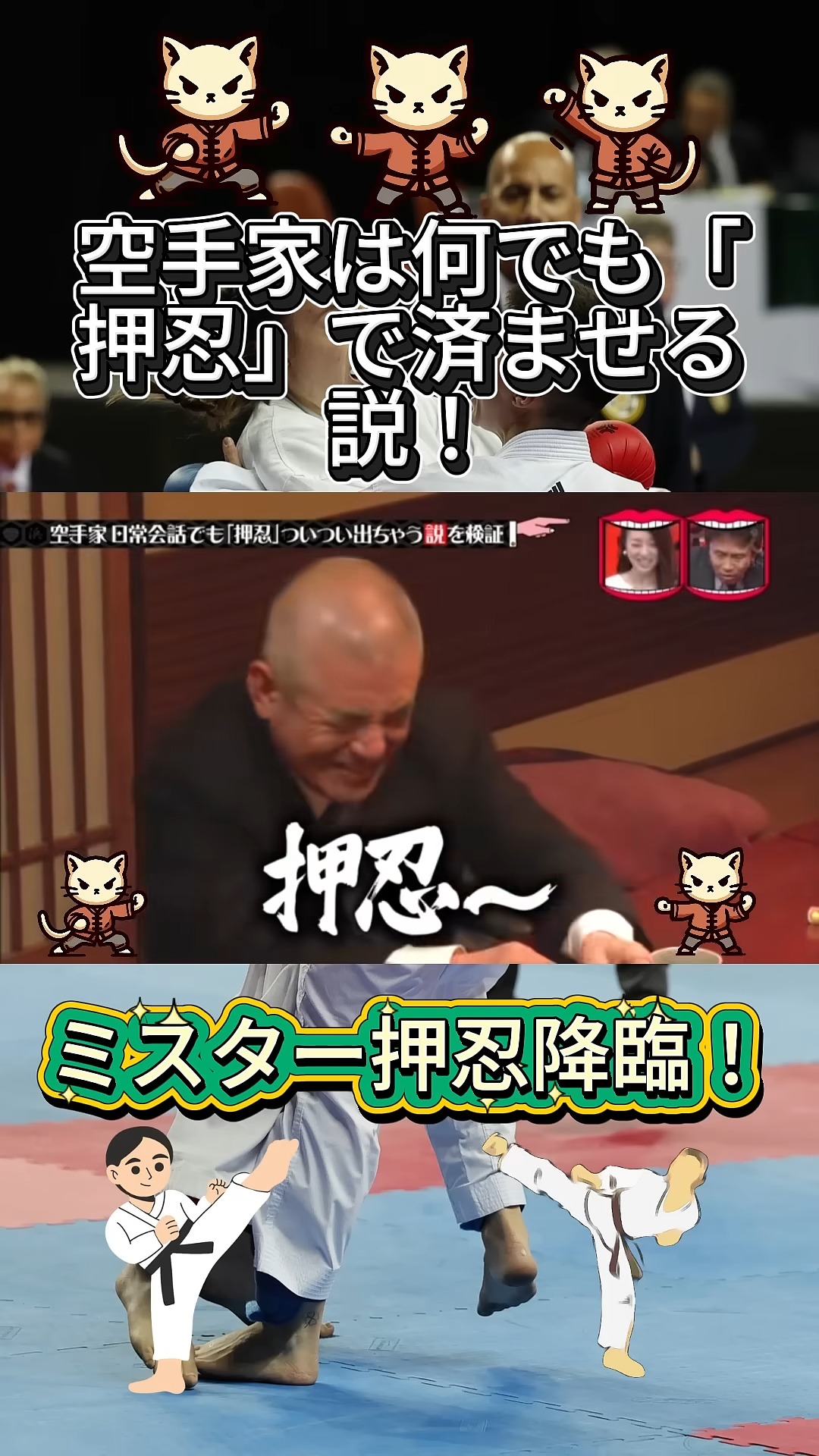 公の場での発言・インタビュー報道記録
