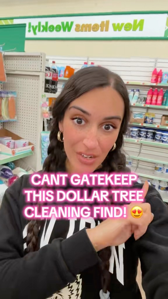The Dollar Tree Cleaning Find You Need! #dollartreefinds | Dollar Tree ...