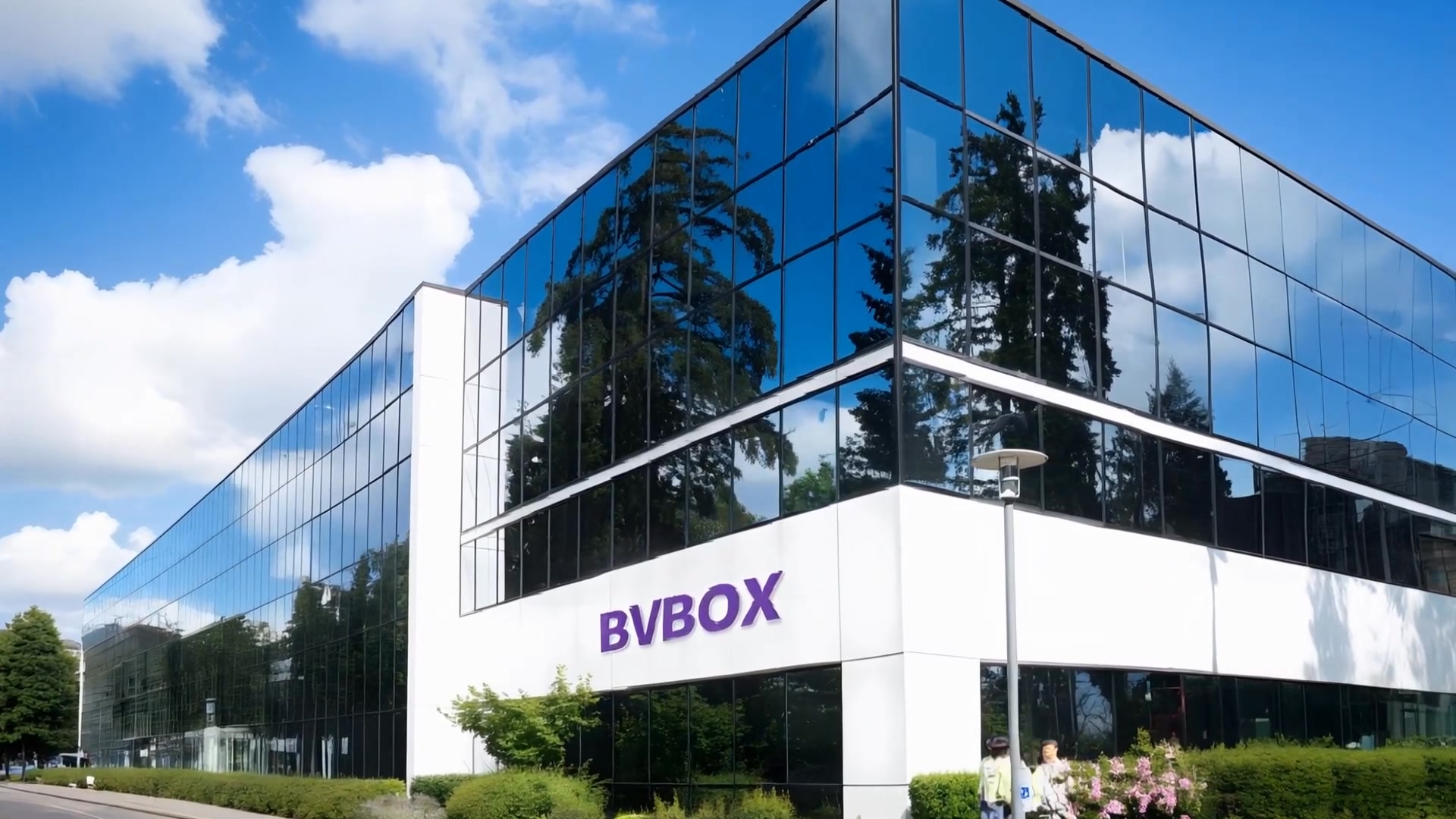 BVBOX US