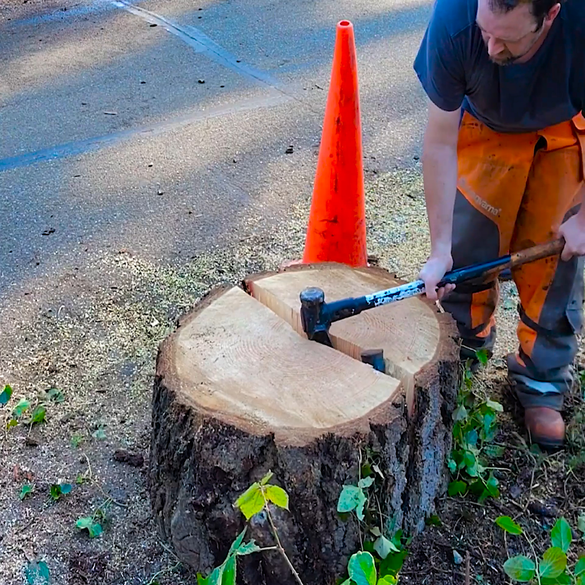Roadside logging | A574 | Facebook