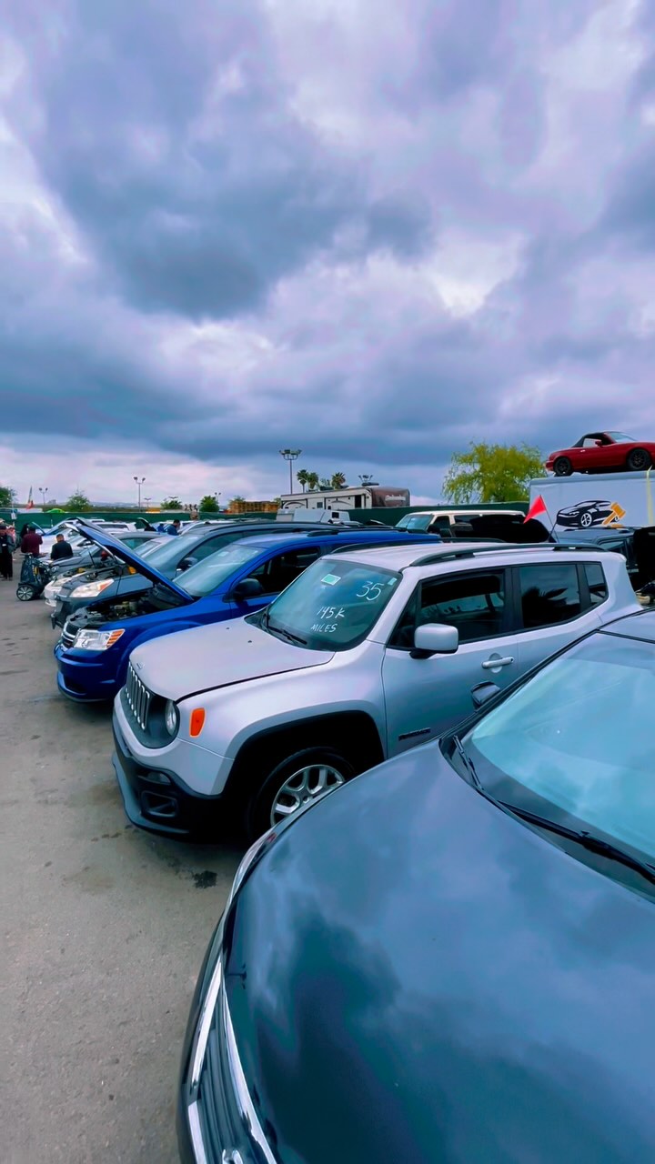 Connection Auto Auction | San Diego CA