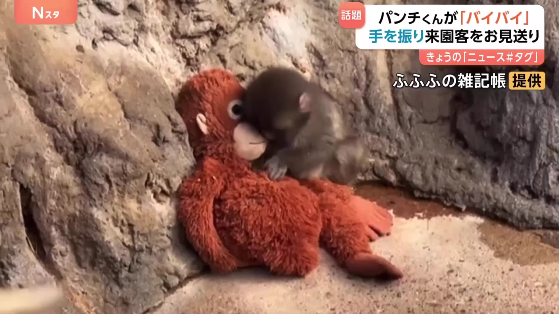 パンチくん バイバイ