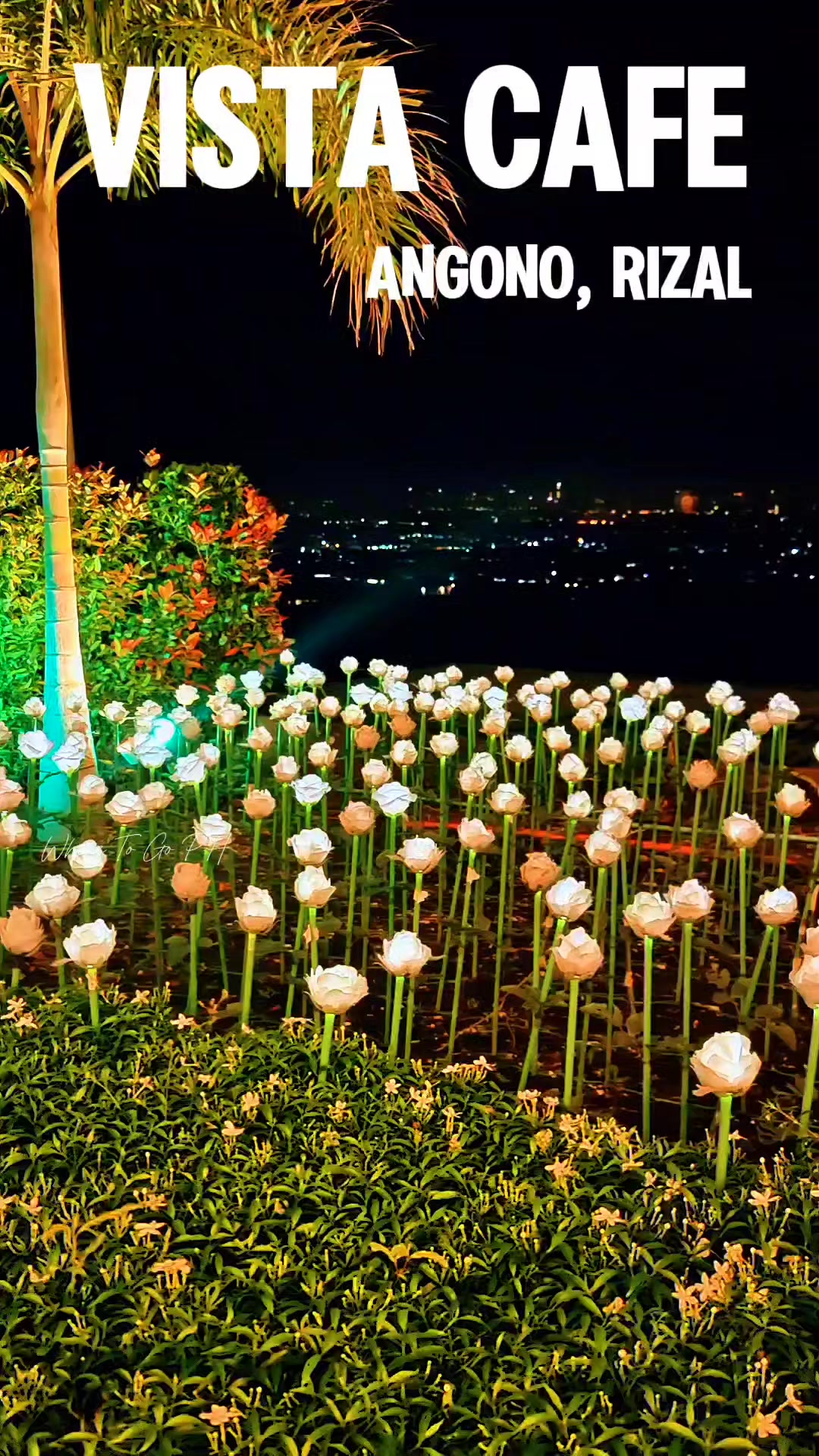 1000 Led Roses na my Overlooking place dito sa Vista Café - Angono ...