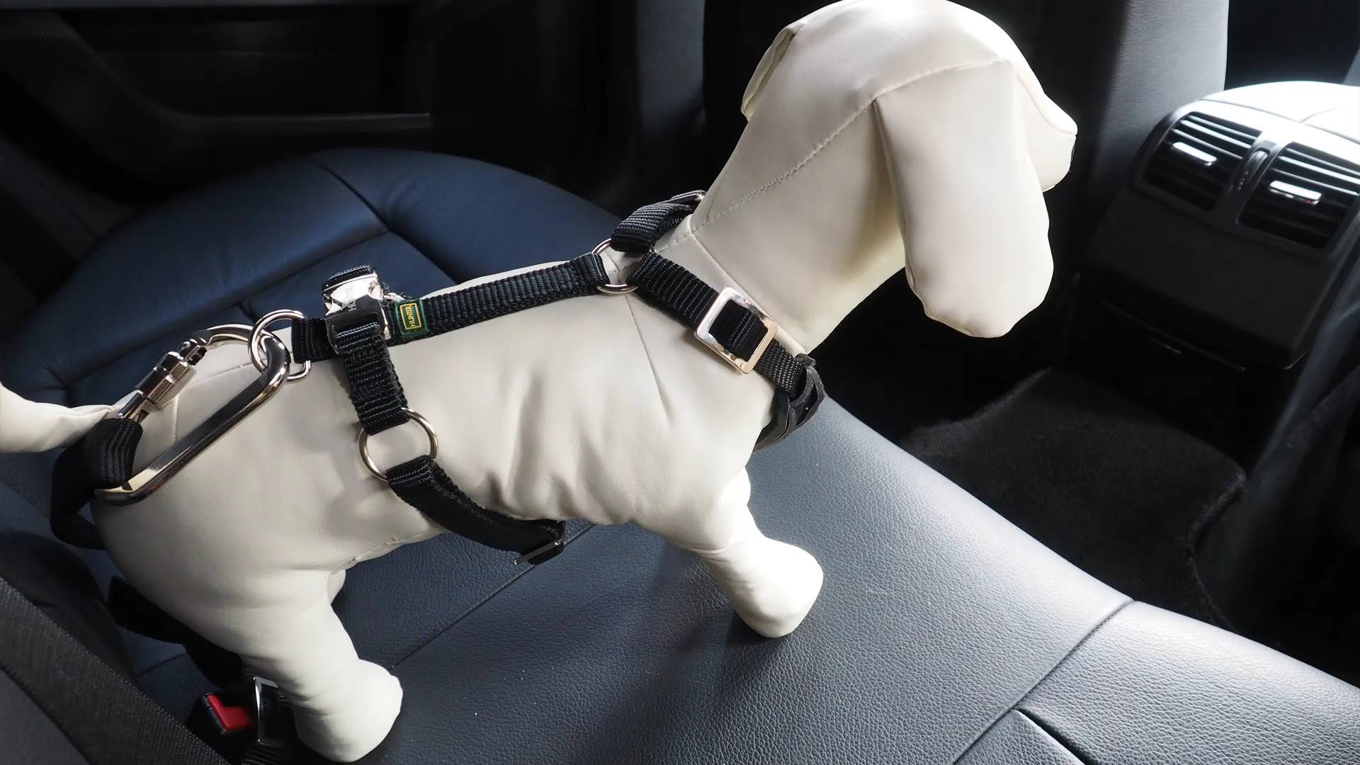 円高還元 犬用 ハンター セーフティ コンフォート イージー ハーネス 犬用品 Popschooltwenterand Nl