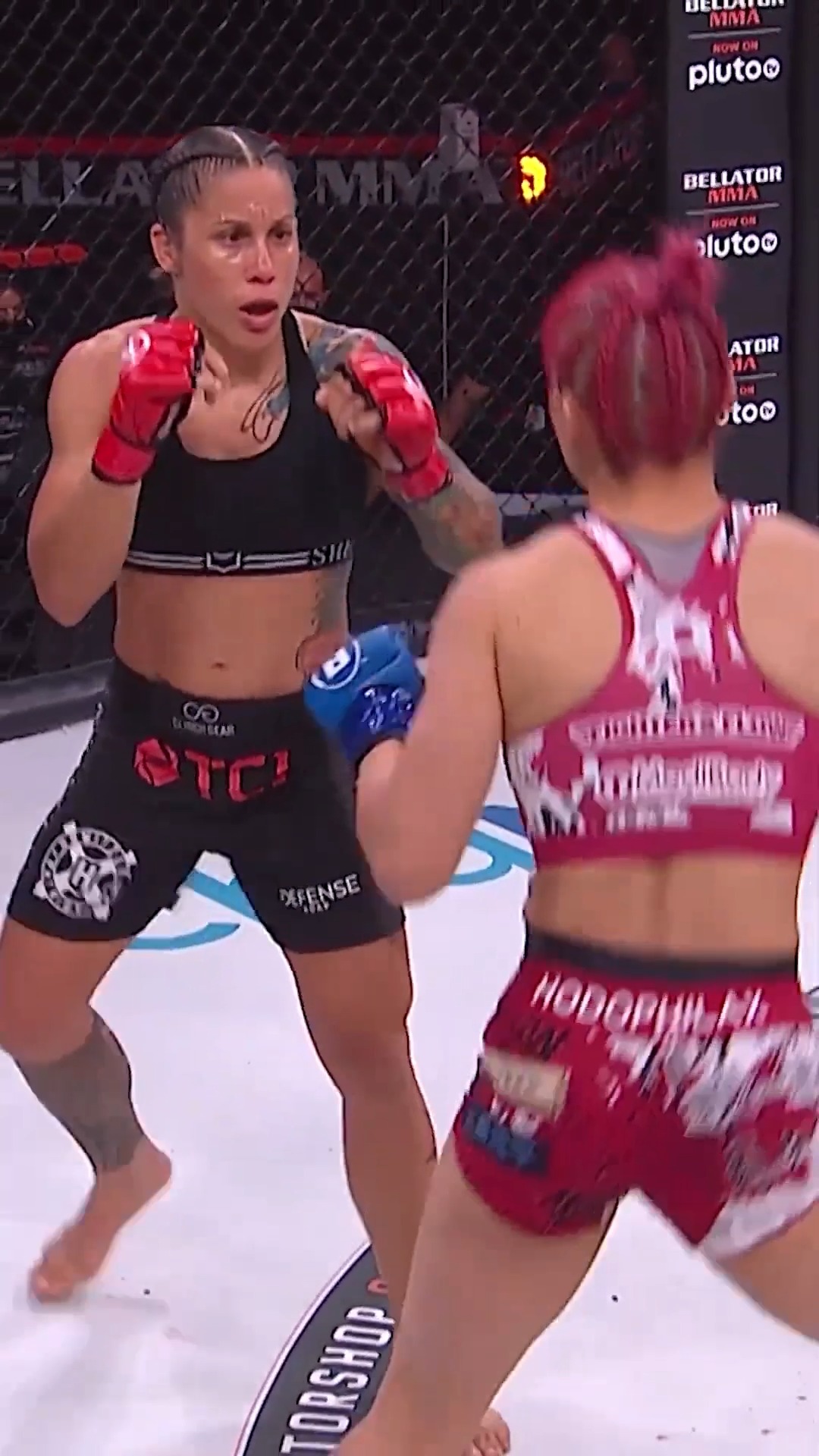 Bellator MMA (@BellatorMMA) • Facebook