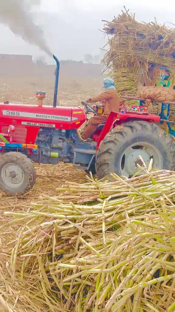 ️ ️ ️ ️ ️🚜 | Malik Razik Naich | Facebook