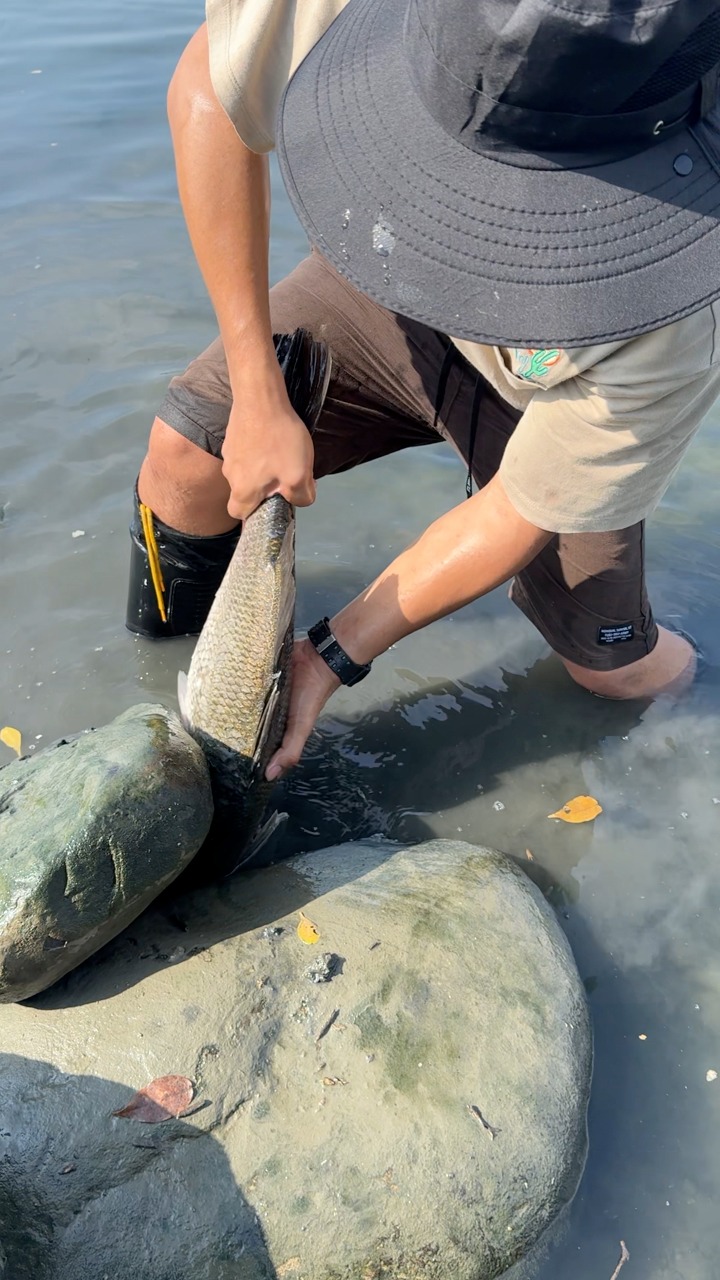 First time i caught a giant snapper under the rock | Mel Olivares ...