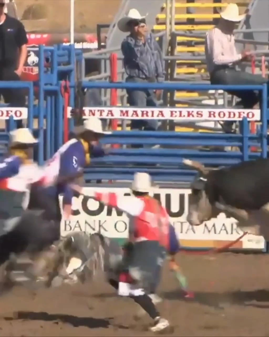 You never know what side of thing you'll be on in ProRodeo. On Saturday ...
