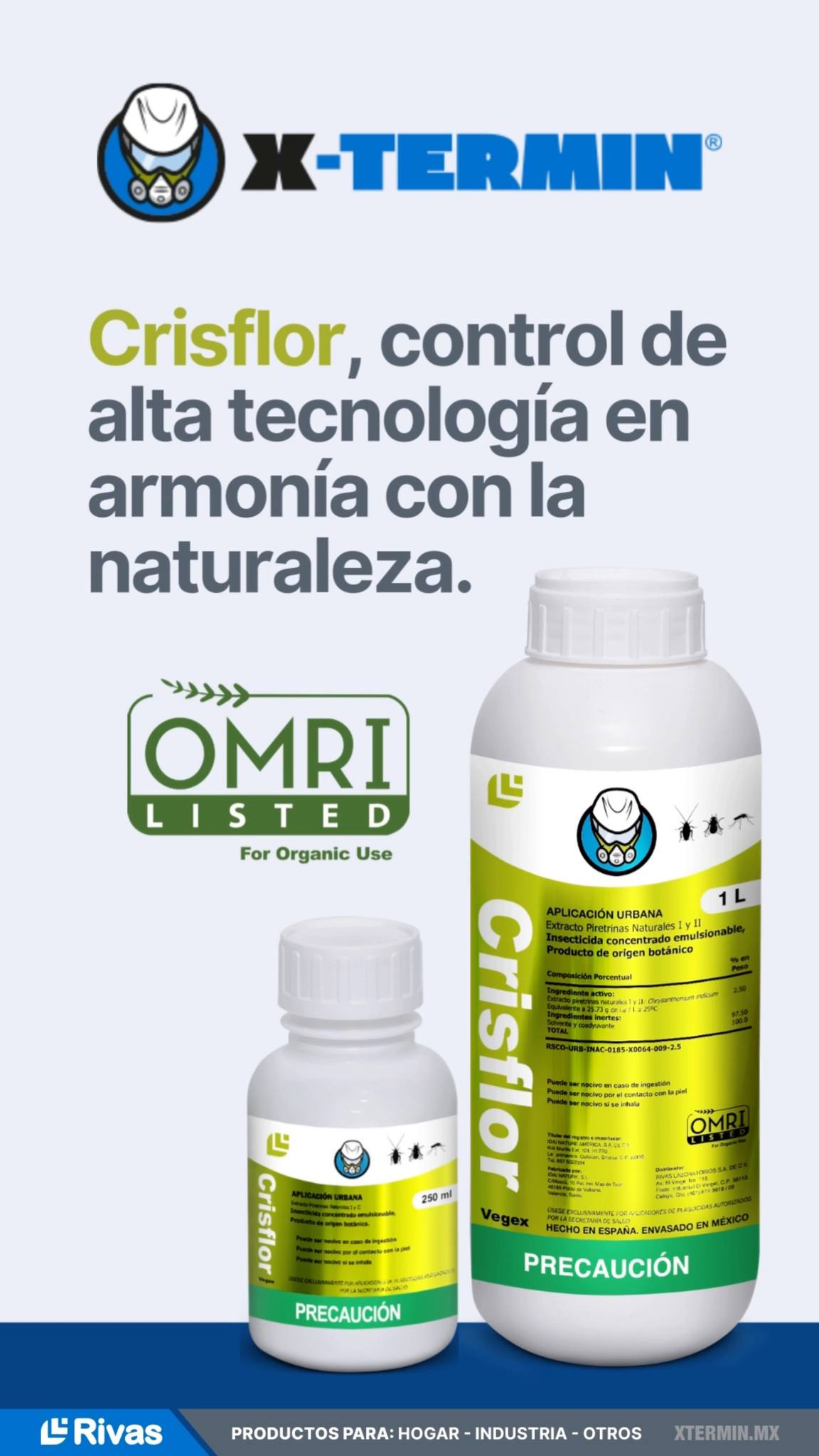 x-termin | Celaya
