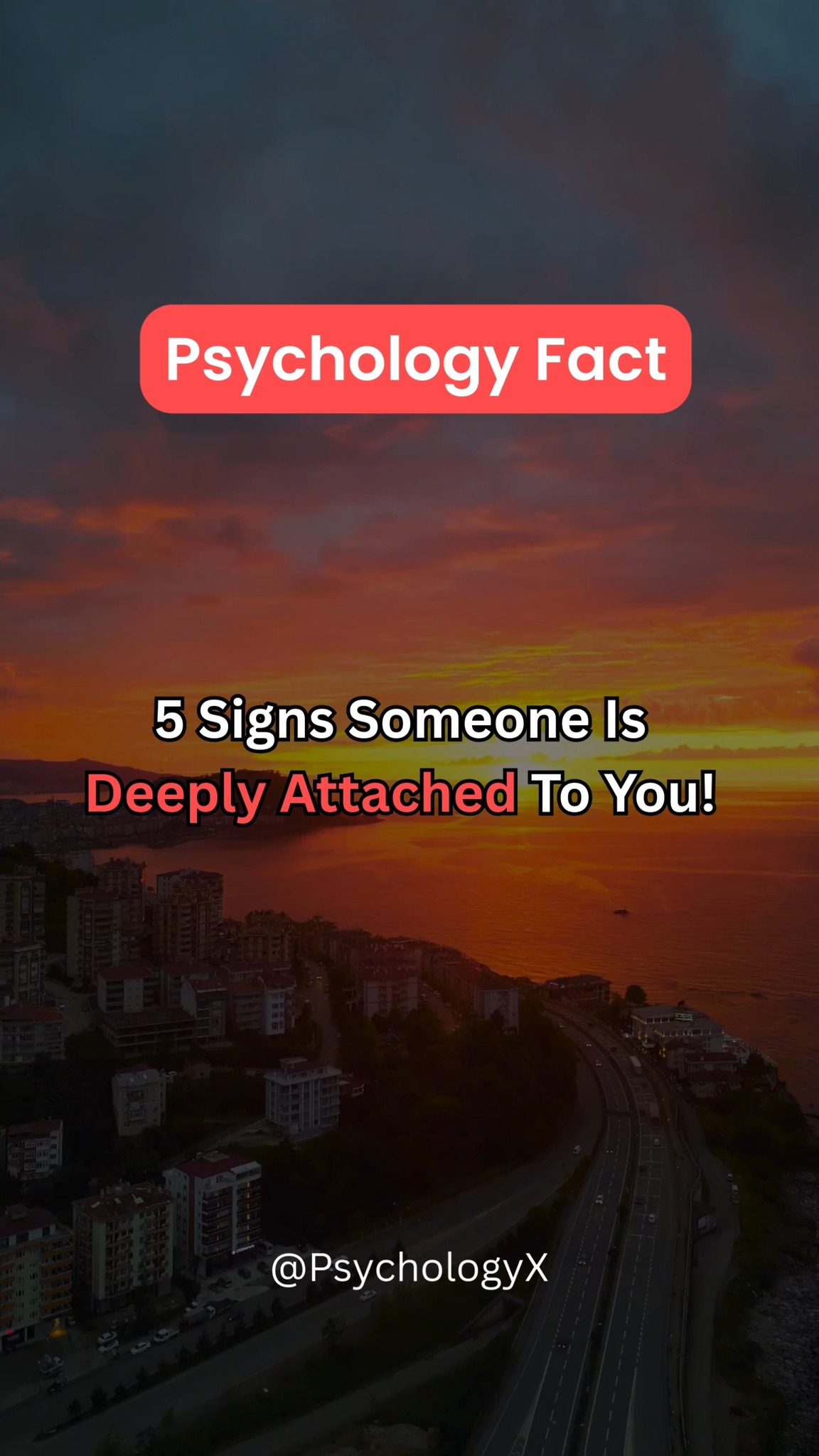 5 Signs Someone Is Deeply Attached To You! #lovepsychology #dailyfacts ...