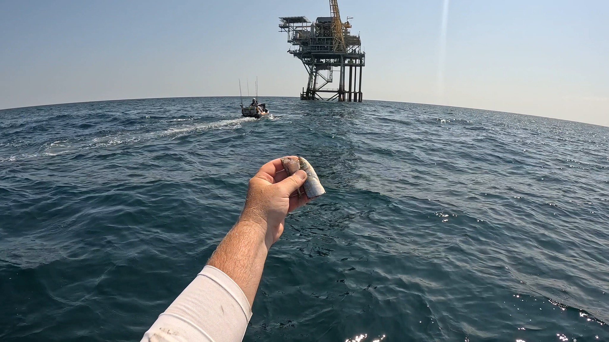 THIS Bait Will Catch EVERYTHING in the GULF!! | Southern Salt Fishing ...