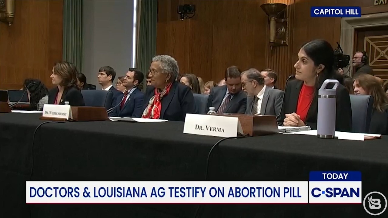 Senator Josh Hawley asks OB-GYN Dr. Nisha Verma if men can get pregnant ...