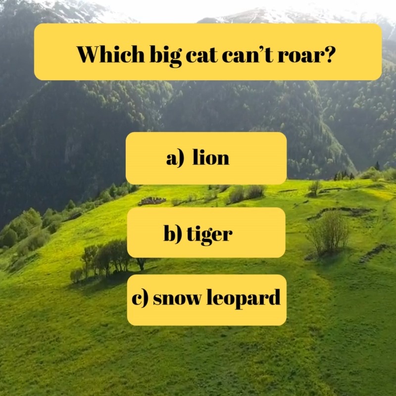 CAN YOU ANSWER THIS RIDDLE? #puzzle #riddle #gk #knowledge #education # ...