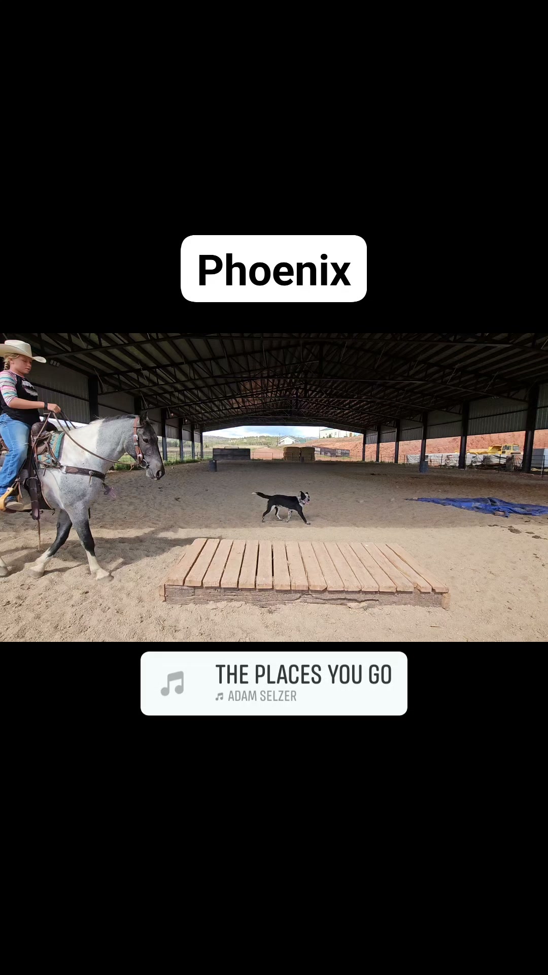Phoenix sells Saturday!!! Lot 128 Josh White Auctions, Inc.