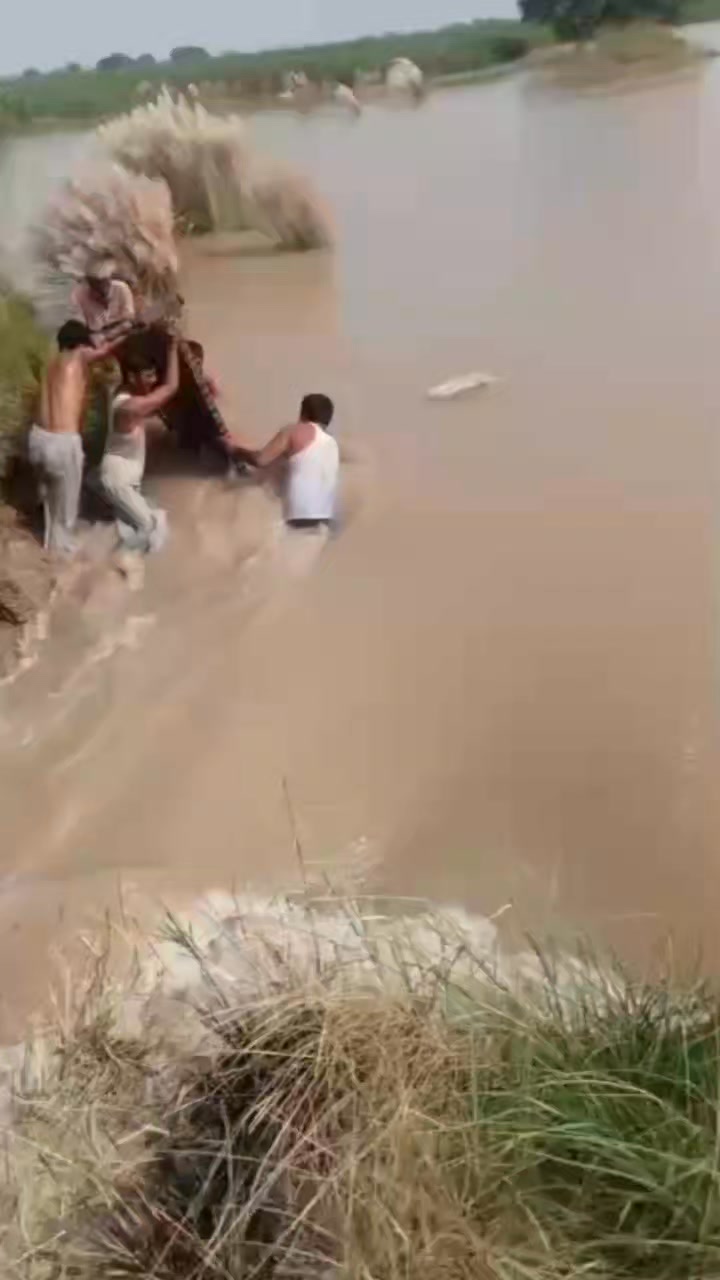 جلال پور پیر والا جھنڈمیانی کا بند ٹوٹ گیا #pakistanriversupdates ...