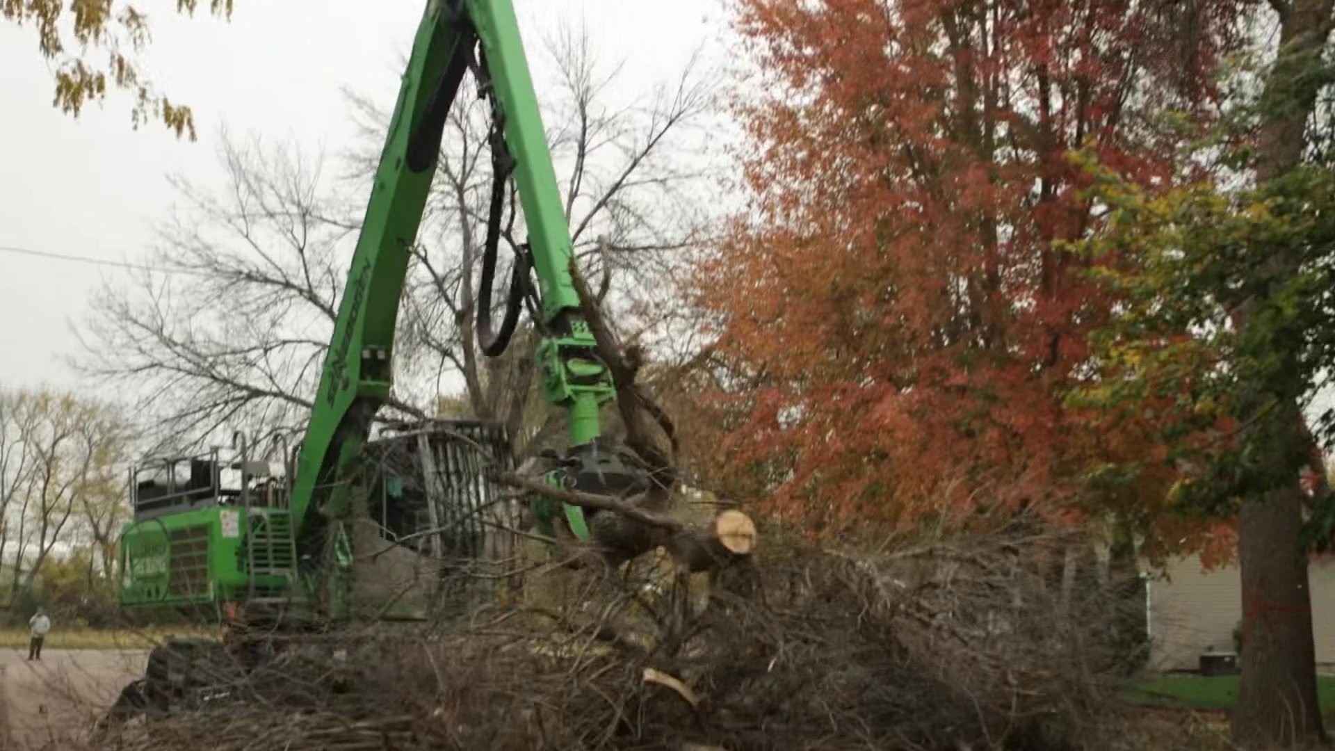 Schwebach Tree Service on Reels | Facebook