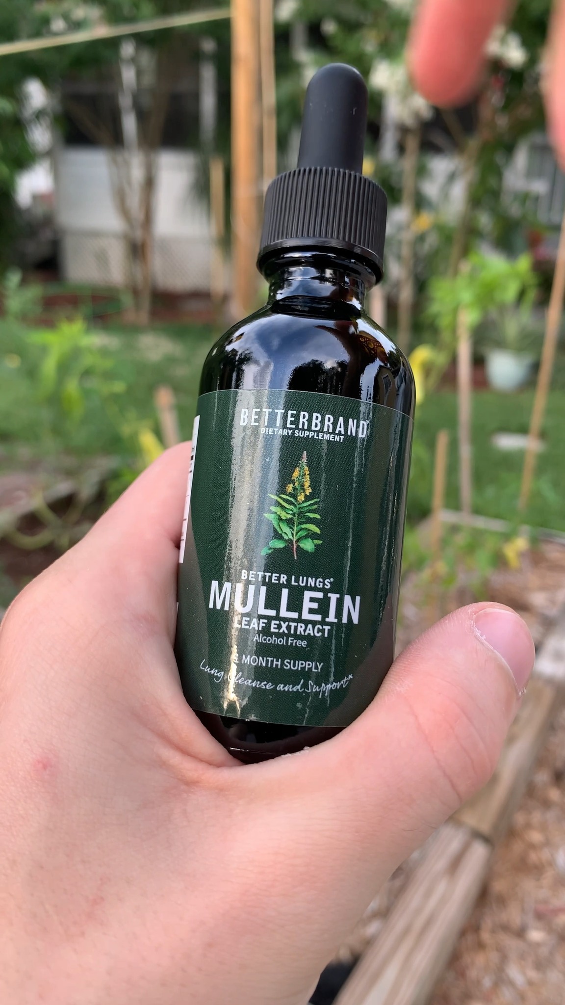 best mullein vape Every smoker or anybody that want to clean their lungs should watch this!! Get our powerful natural herb from herbalresetplus.com link is in the bio! Repost this!!! Let's take care of MOJITO PAX 3D Oven Screens Flavour:STRAWNANA