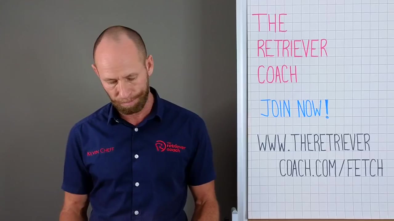 FUN FETCH - A Prerequisite To Force Fetch | The Retriever Coach | Facebook