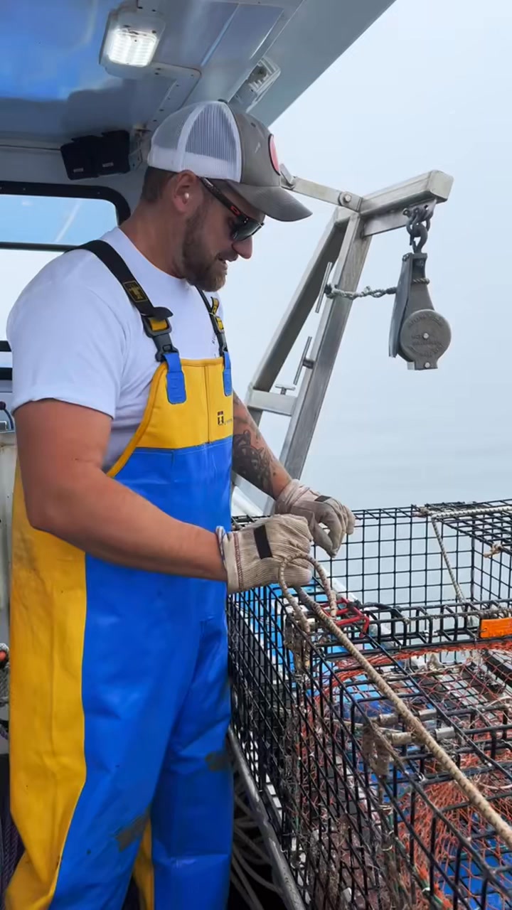 Blue Lobster!!!! 1 in 2,000,000🦞 #lobster | Blake Haass | Facebook