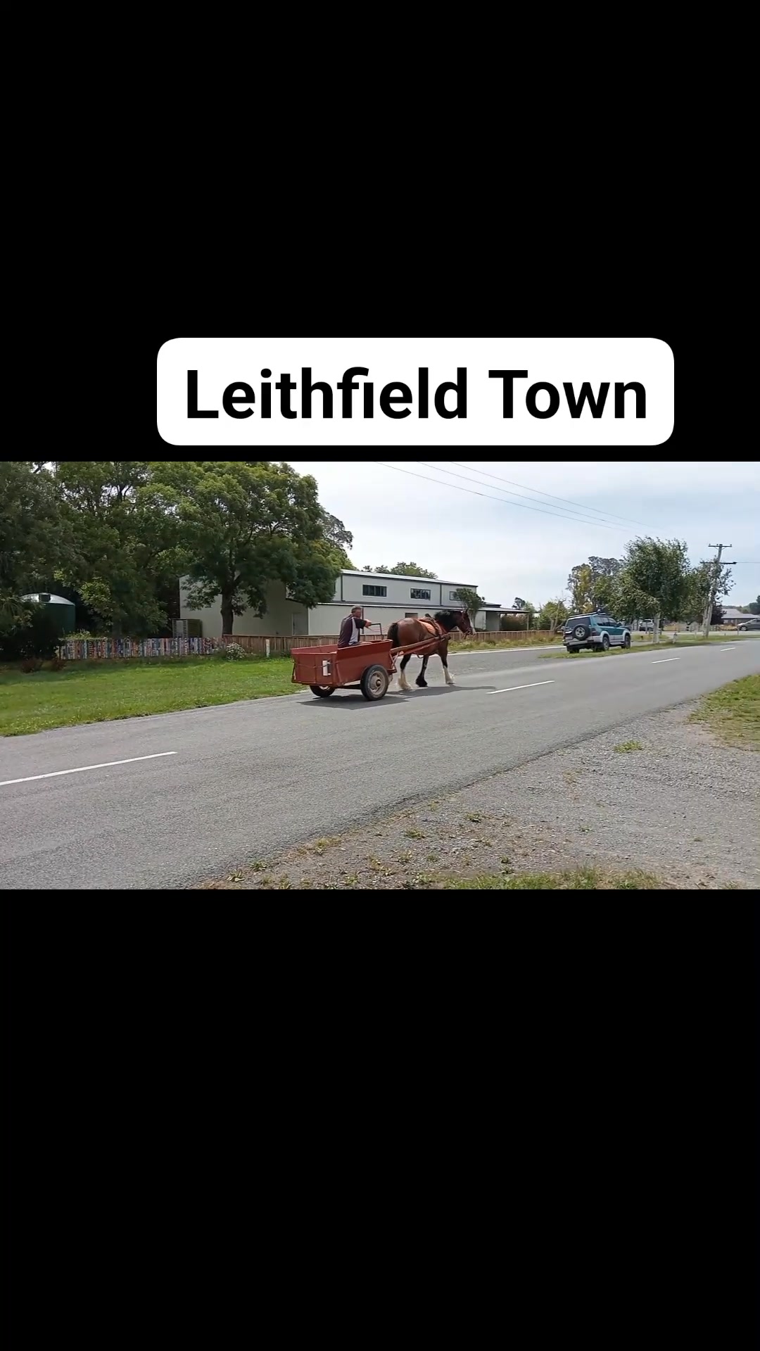 Leithfield Wagon Rides on Reels
