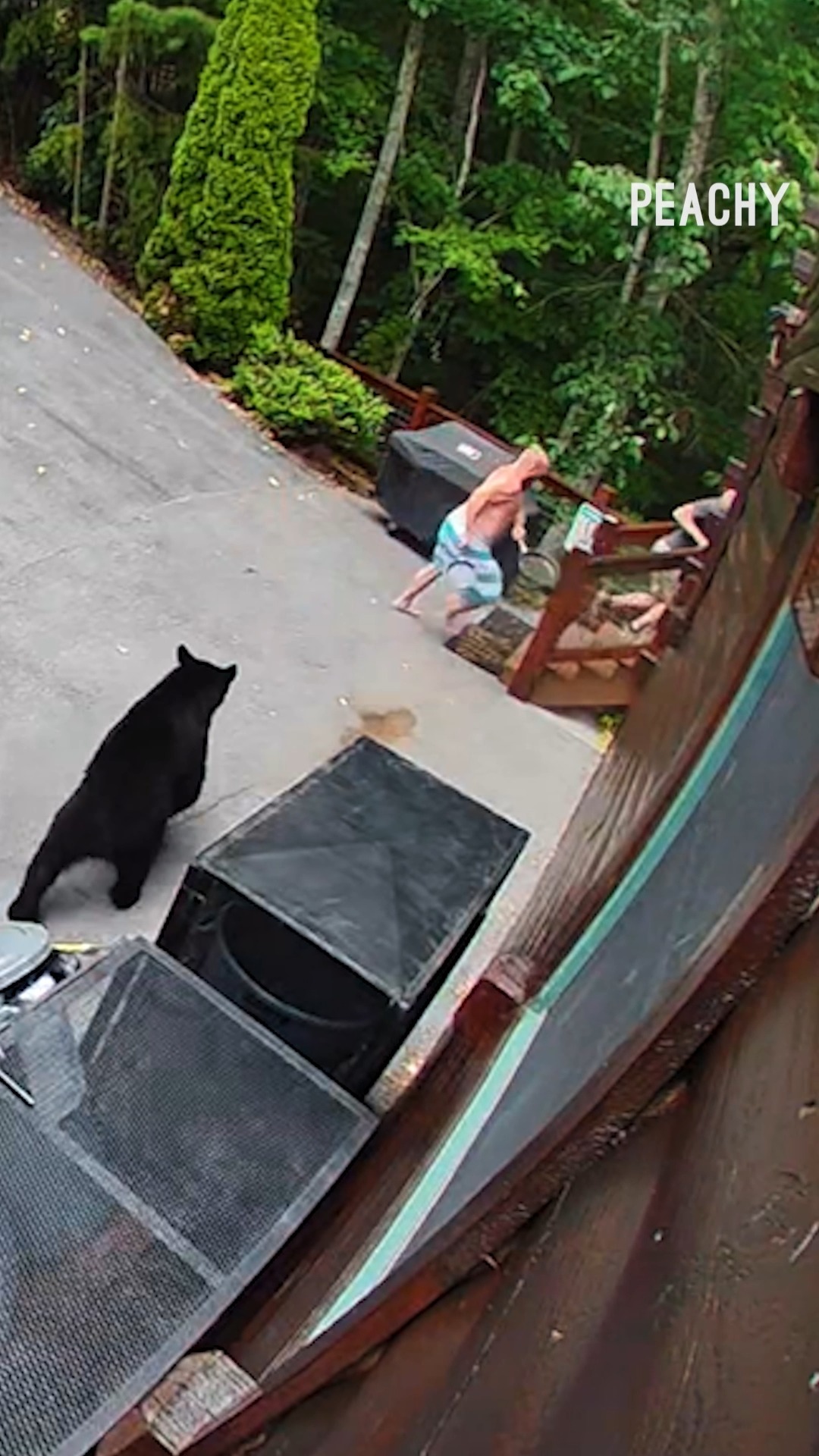 This bear was VERY ANNOYED! 🐻 #bear #CCTV #fail #funny #reels | Peachy ...