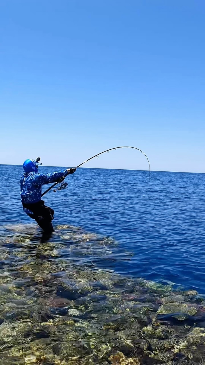 Nothing beats the run of a hooked monster Rod : Zenaq Accura Defi