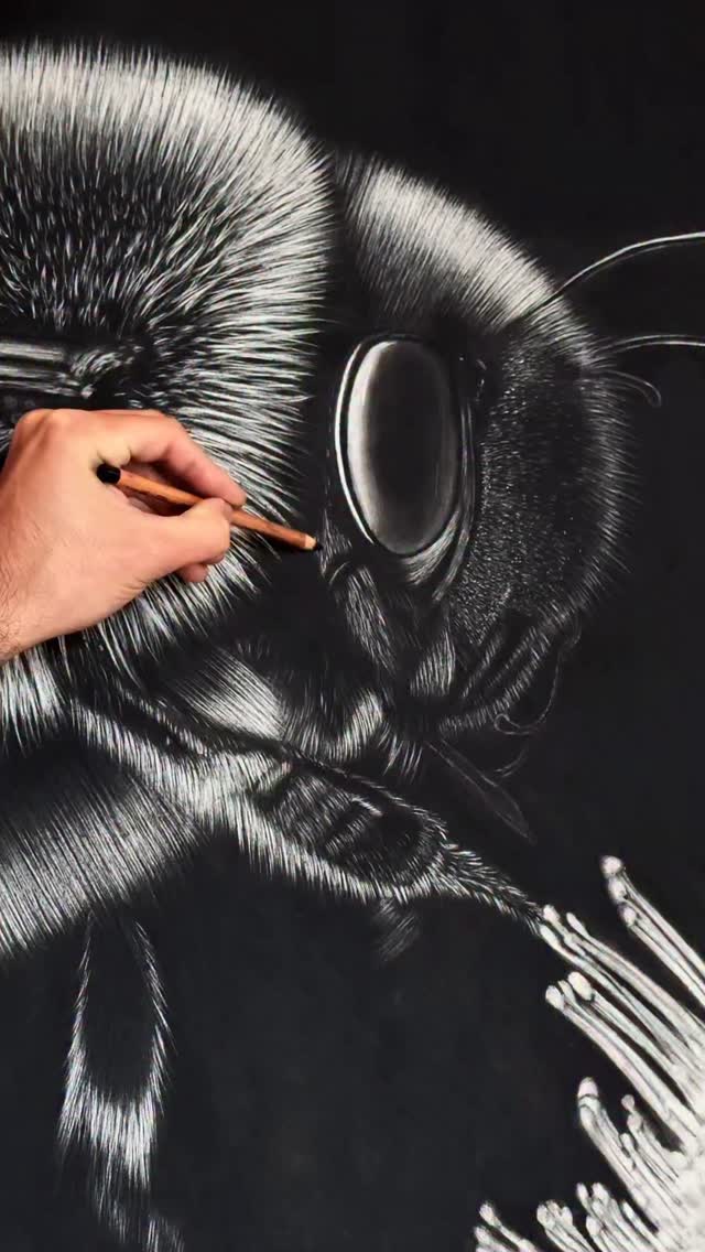 🎬 REVEAL MY DRAWING : MAYA - SKIMA ️🐝🍯 . Pencil Pierre noire ...