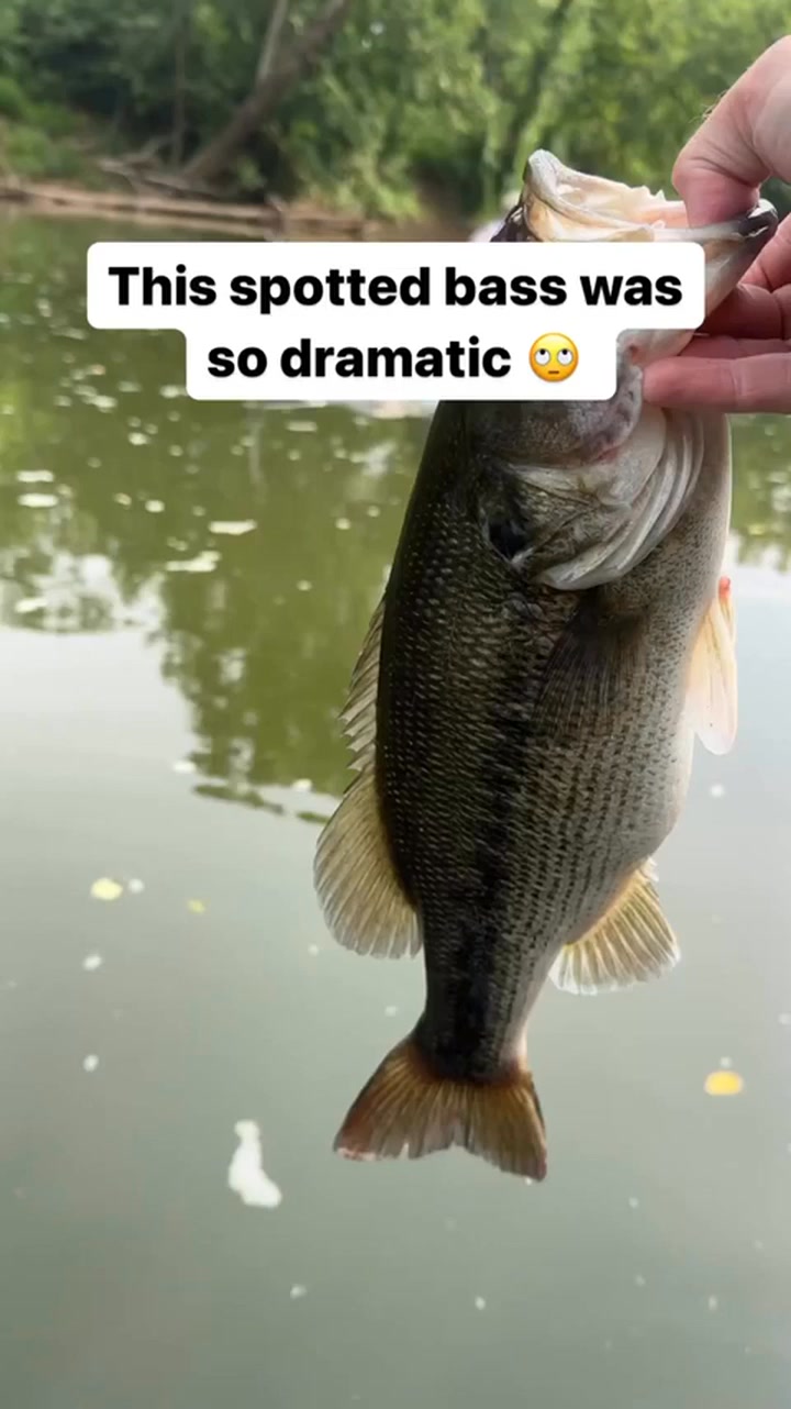 This big Spotted Bass was SO DRAMATIC! 😅 | Fishing Relaxing | Facebook