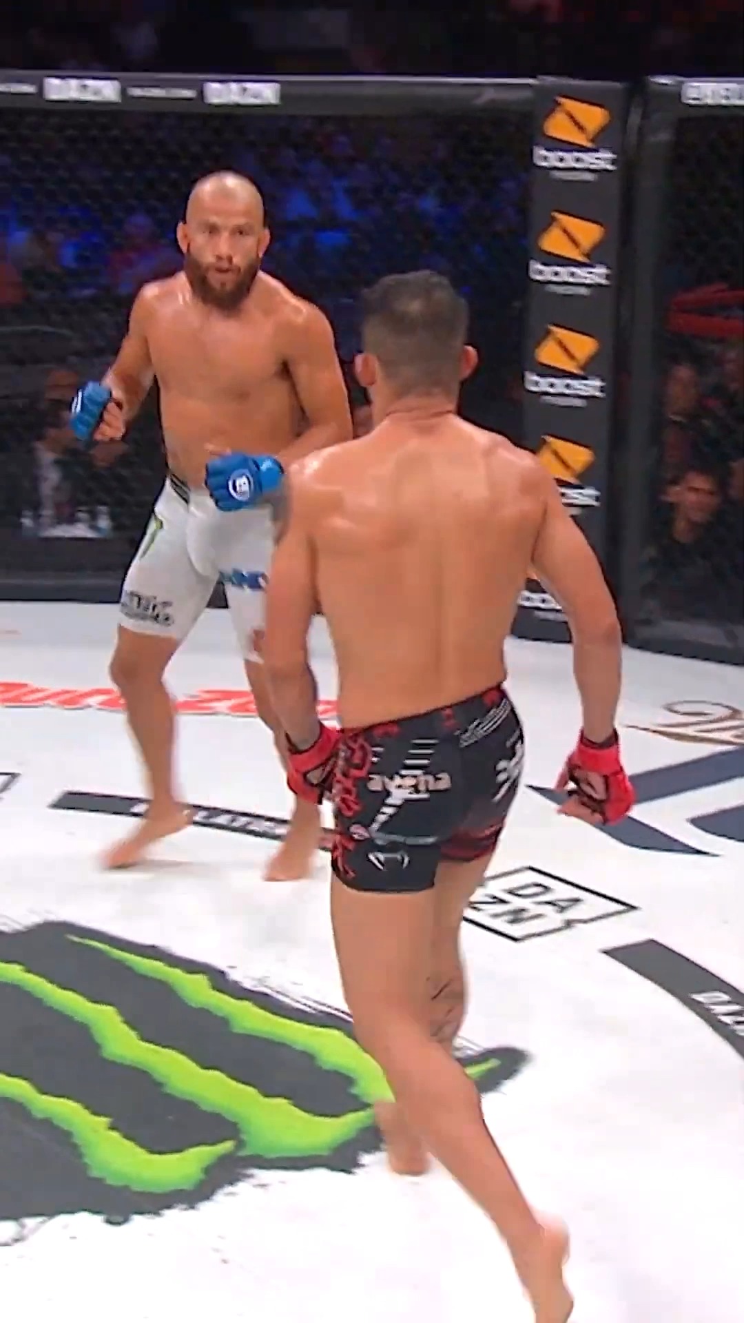 Bellator MMA (@BellatorMMA) • Facebook