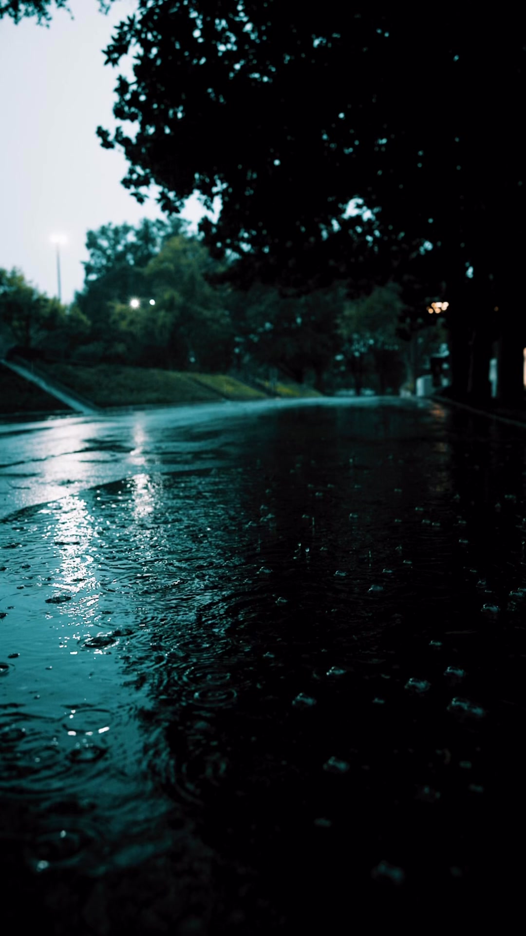 🌧️ 3 Things Rain Reminds Us Of 1. Patience. Rain never forces itself ...