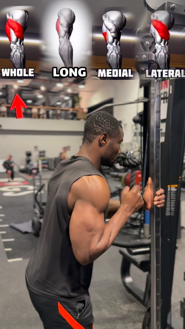 BUILD 3D TRICEPS WITH JUST A ROPE 🔥. Your triceps make up 70% of your ...