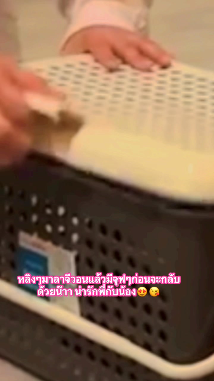 หลิงๆแม่มารับกลับแล้ว มาลาหลวงตากับพี่จีวอน จุฟๆกันด้วย😍😘 #หลิงๆ #จีวอน ...