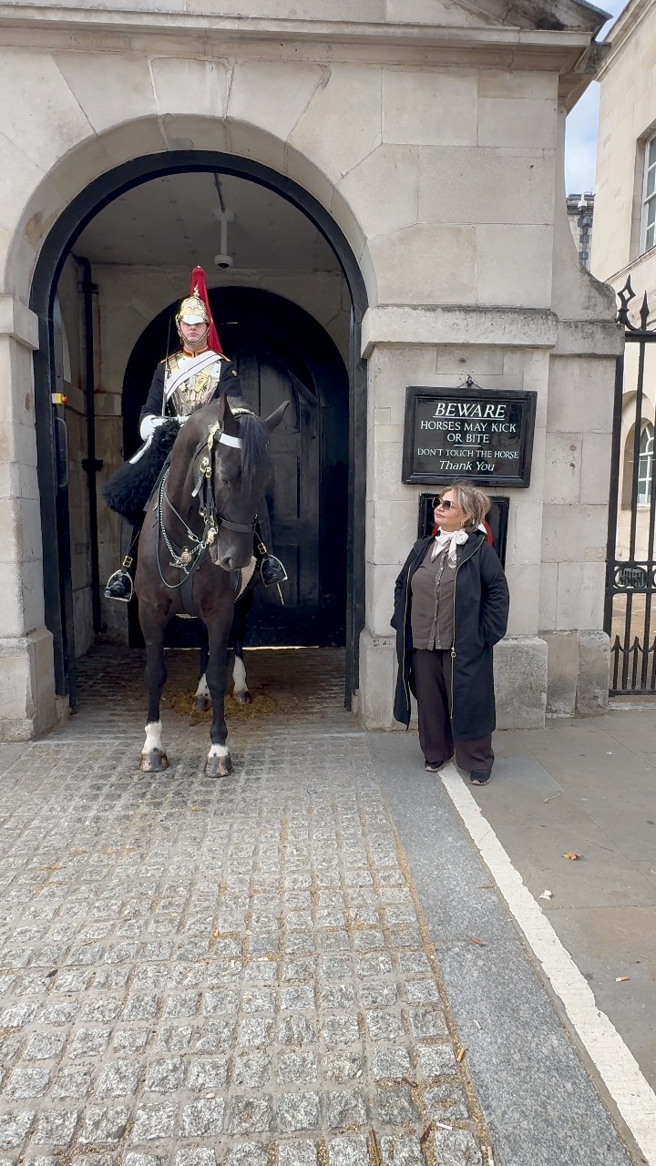 Magnificent!” #london #horseguardsparade #fblifestyletyle | The king's ...