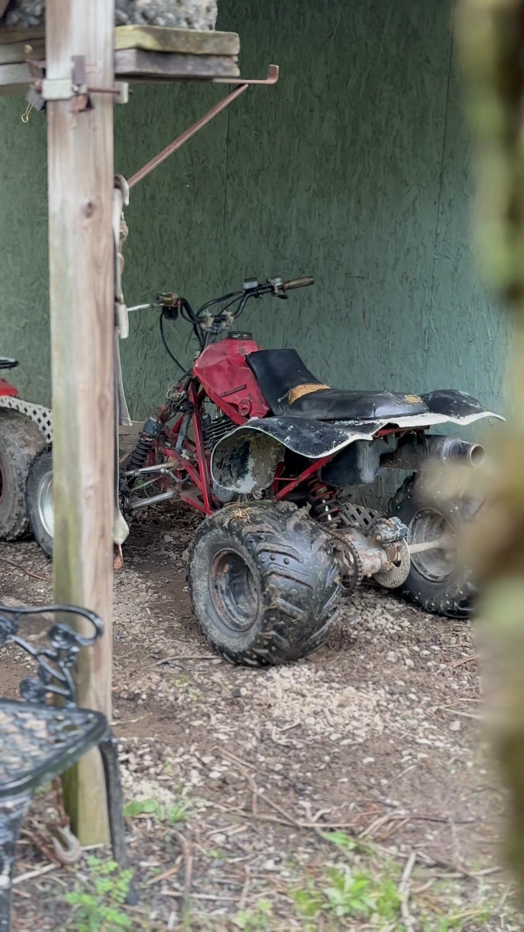 Are 1991 Honda TRX250X rare?
