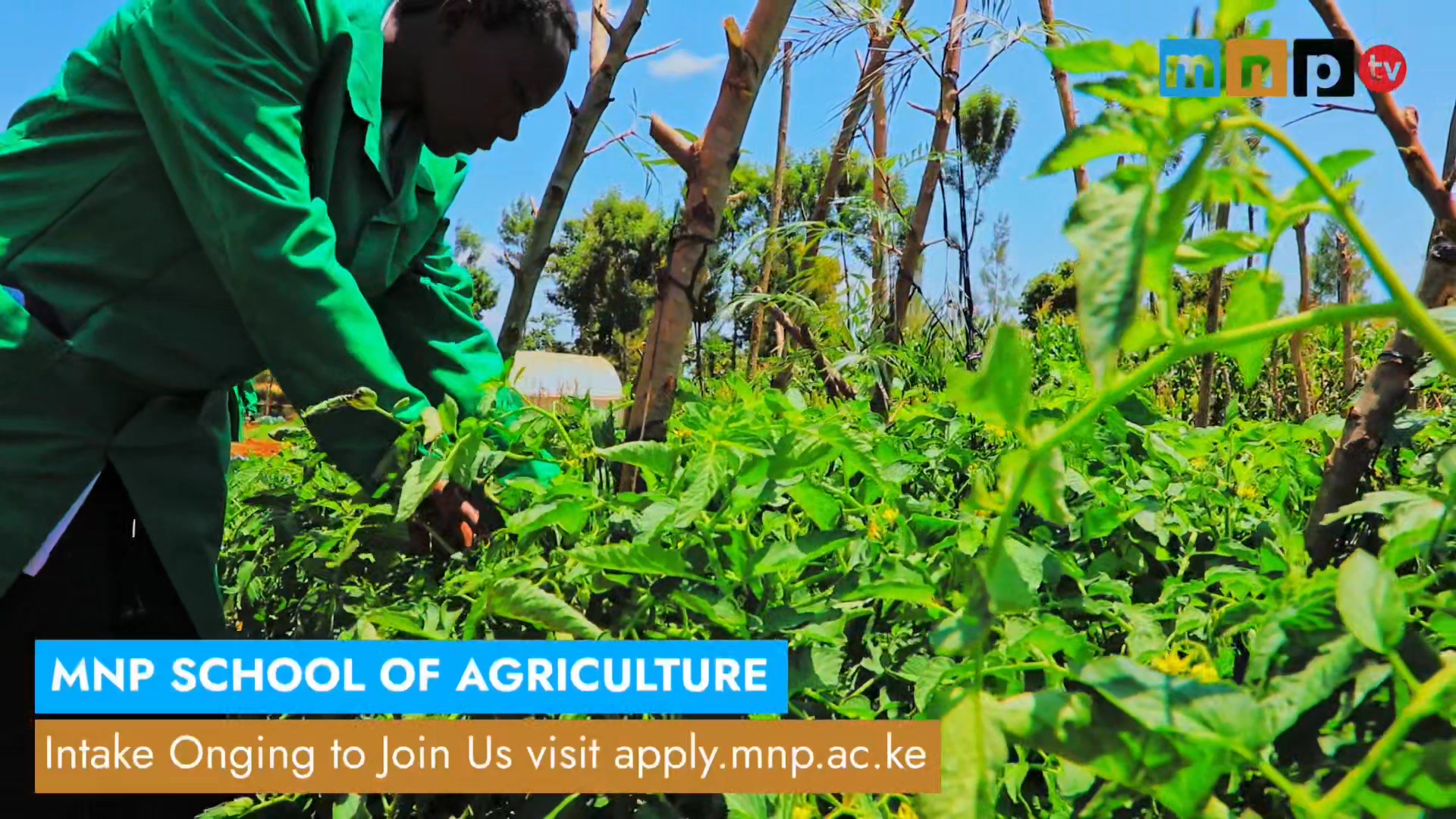 At Meru National Polytechnic, students taking Agriculture & Environment ...