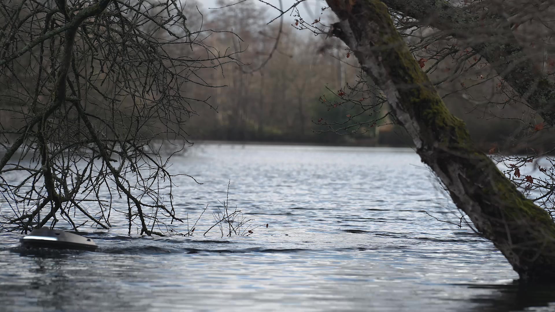 Iain Mitchell discovers the Sailvvay X-Series bait boat, a GPS and ...