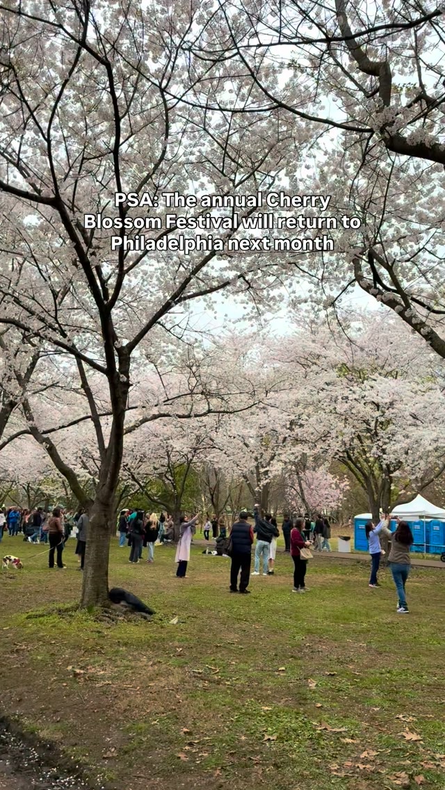 March 28 & 29 🌸 The Subaru Cherry Blossom Festival of Greater ...