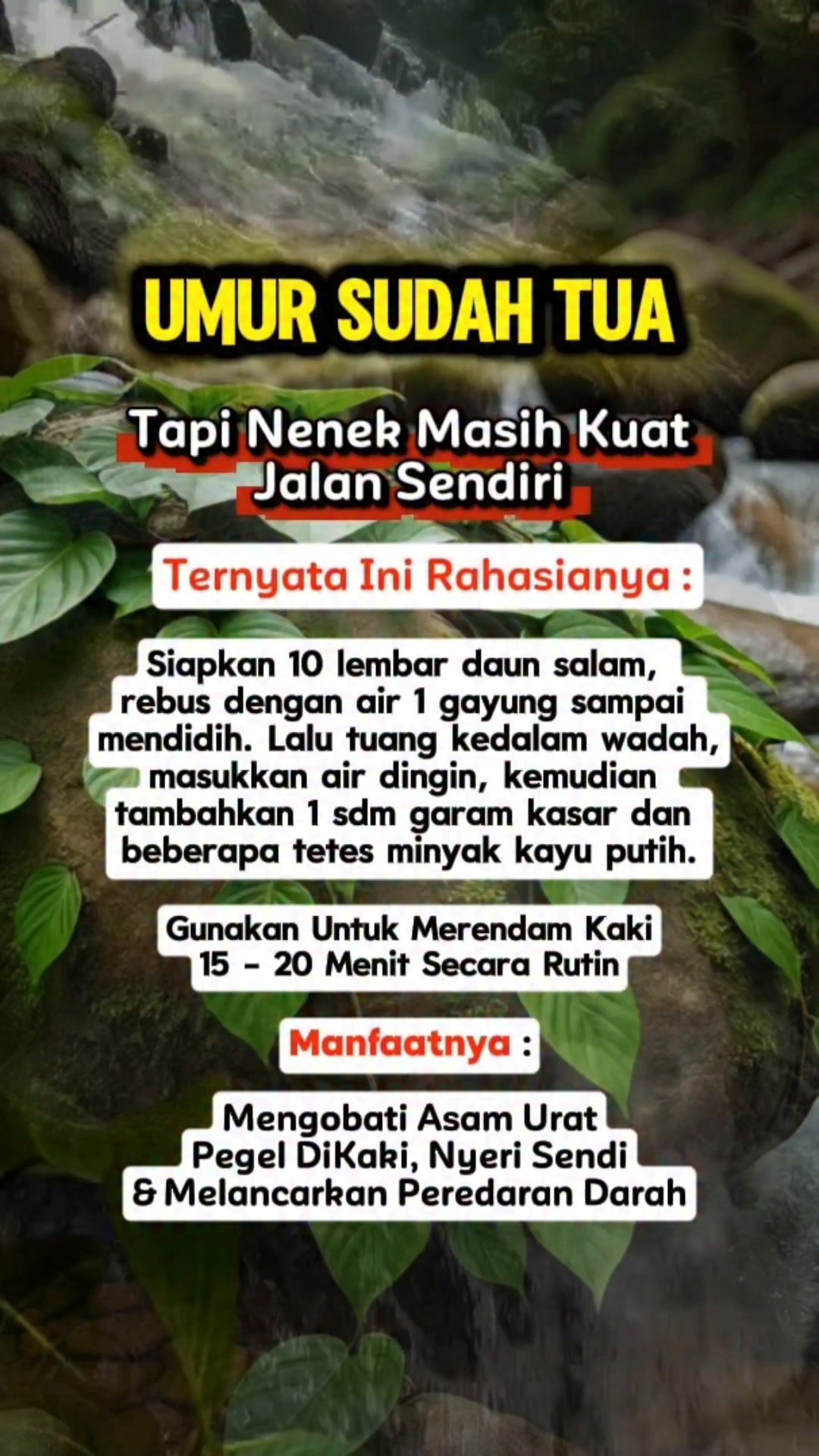 Stop Jangan Lagi Buang Tembuluk Kelapa Yang Jatuh Di Pekarangan Rumah ...