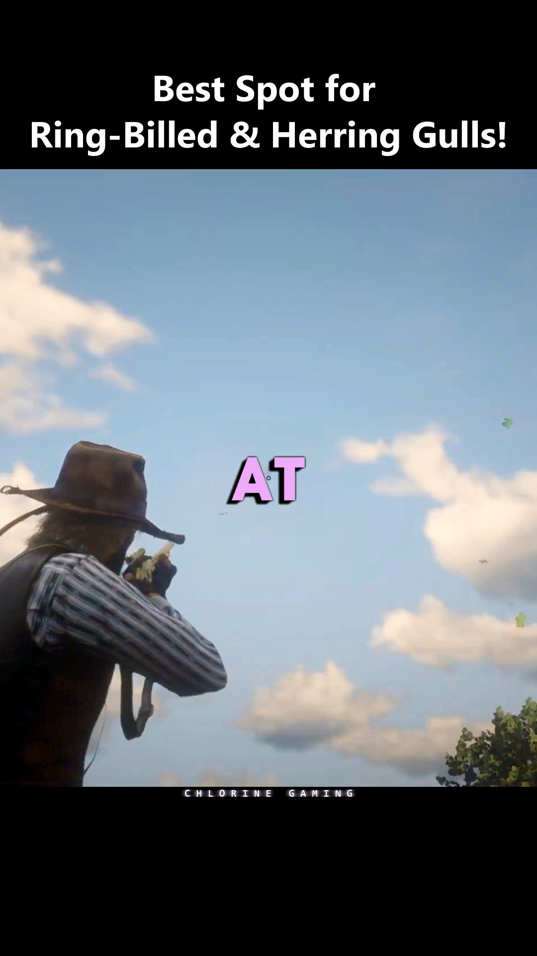 Find the best location for Ring-Billed & Herring Gulls in Red Dead ...