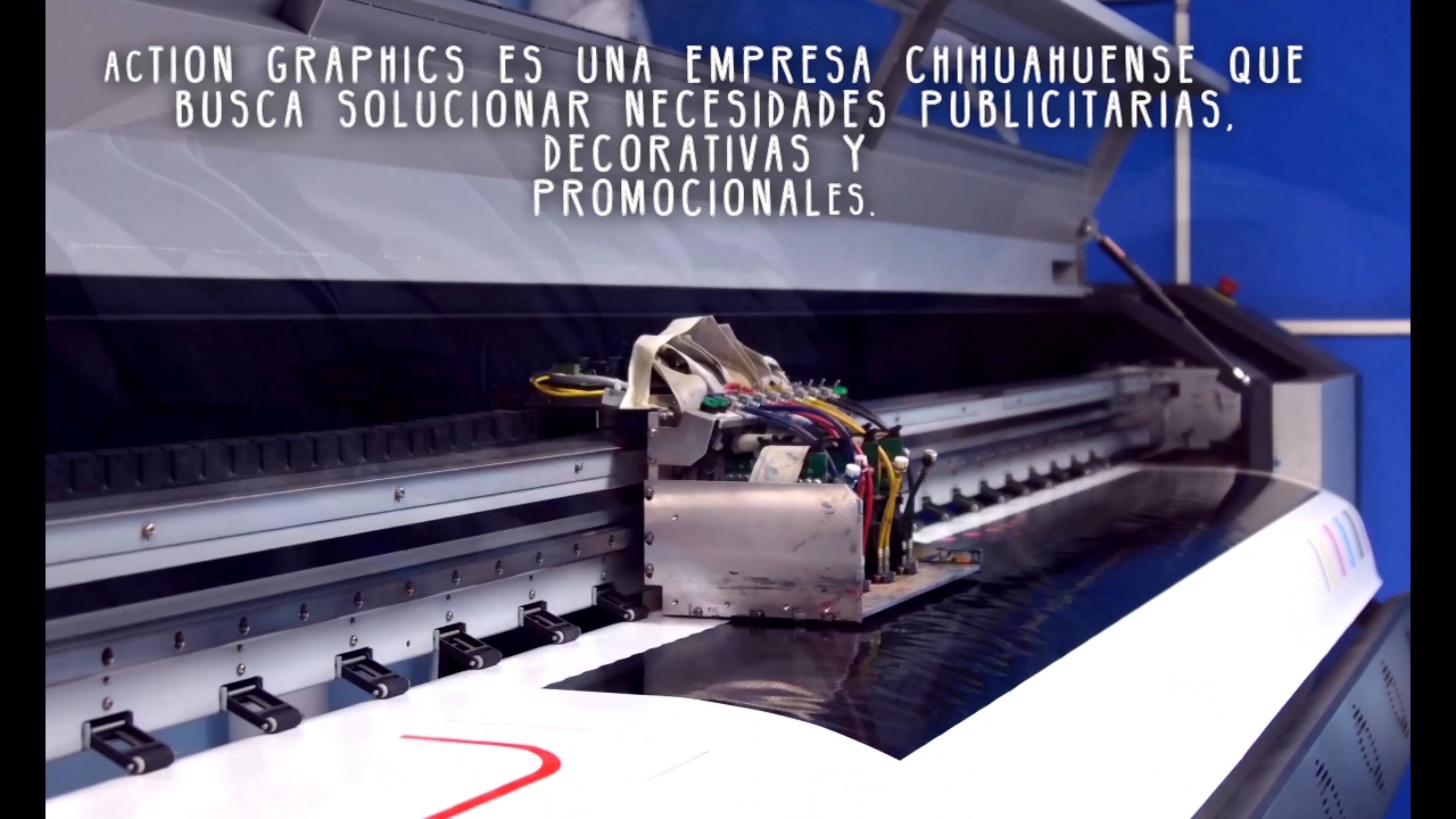 Action Graphics | Chihuahua