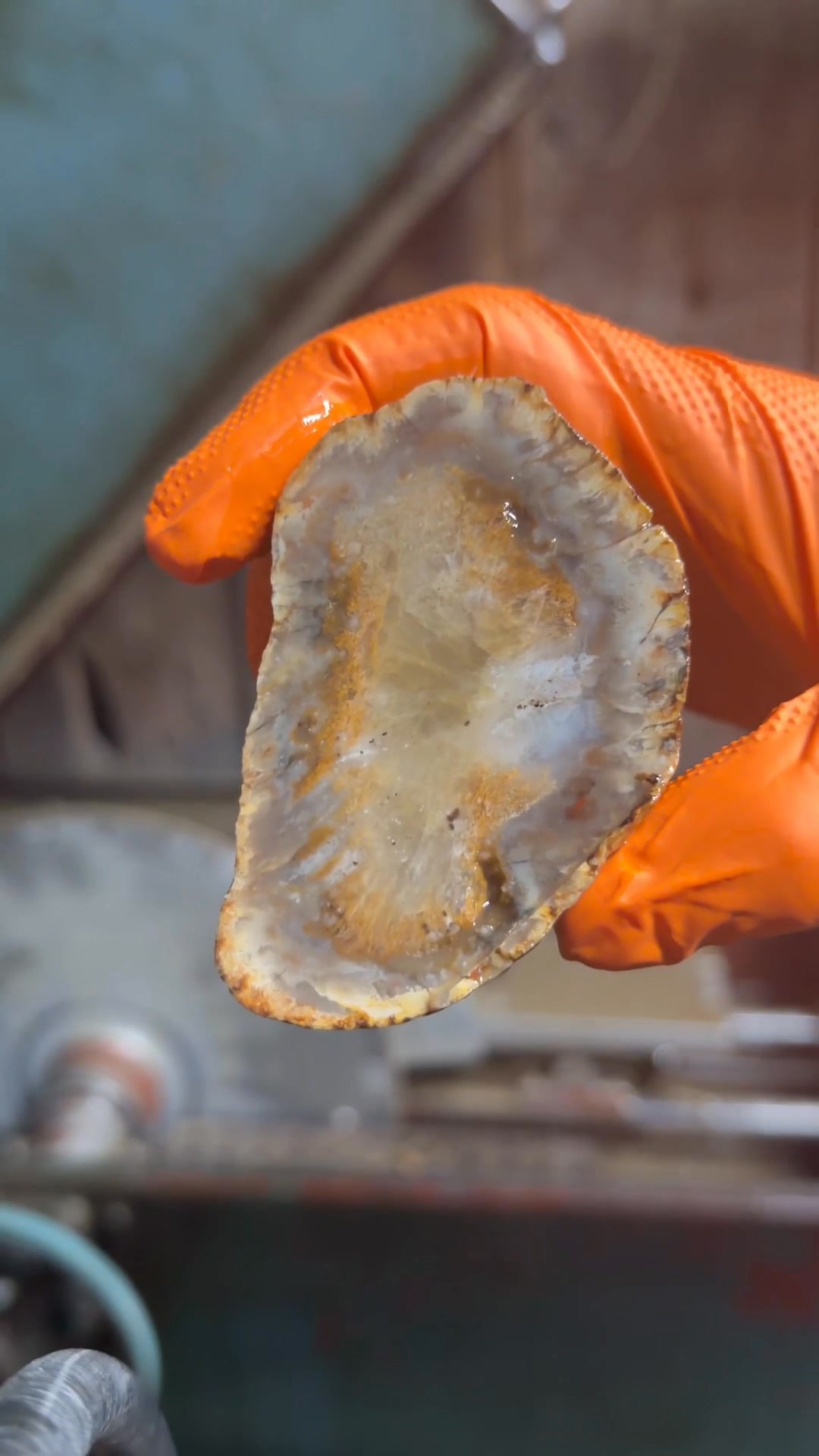 We open us up today a very neat little piece of Kentucky. This specimen ...